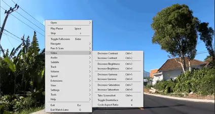 mpv.net screenshot 2