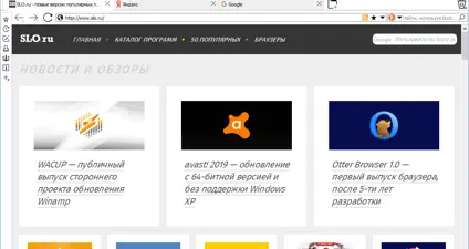Otter Browser screenshot 1