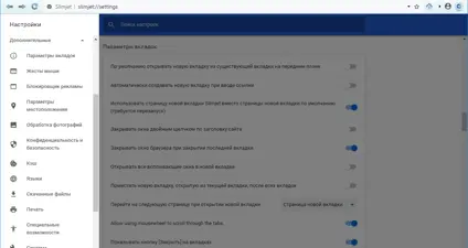 Slimjet screenshot 2