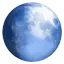 Pale Moon logo